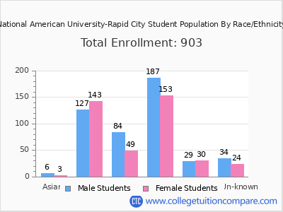 National American University-Rapid City 2025 Student Population by Gender and Race chart