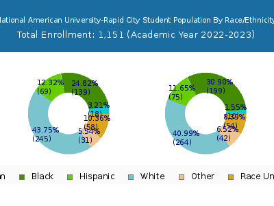 National American University-Rapid City 2023 Student Population by Gender and Race chart