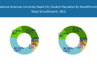 National American University-Rapid City 2025 Student Population by Gender and Race chart