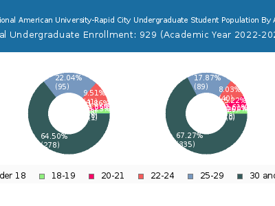 National American University-Rapid City 2023 Undergraduate Enrollment Age Diversity Pie chart