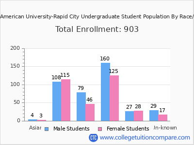 National American University-Rapid City 2025 Undergraduate Enrollment by Gender and Race chart