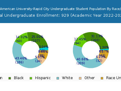 National American University-Rapid City 2023 Undergraduate Enrollment by Gender and Race chart