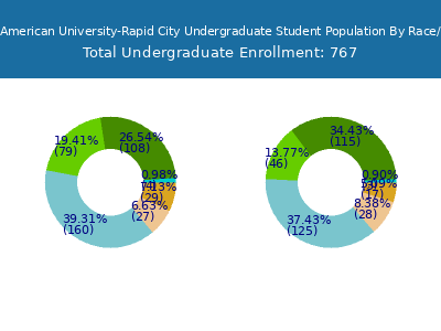 National American University-Rapid City 2025 Undergraduate Enrollment by Gender and Race chart