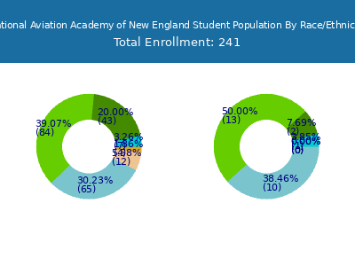 National Aviation Academy of New England 2025 Student Population by Gender and Race chart