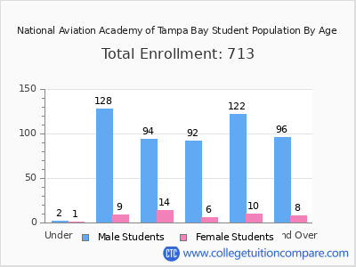 National Aviation Academy of Tampa Bay 2024 Student Population by Age chart