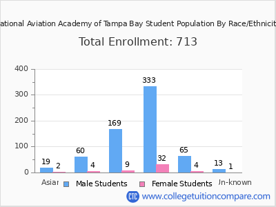 National Aviation Academy of Tampa Bay 2025 Student Population by Gender and Race chart