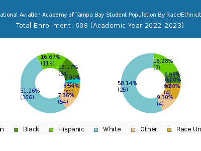 National Aviation Academy of Tampa Bay 2023 Student Population by Gender and Race chart