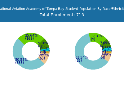National Aviation Academy of Tampa Bay 2025 Student Population by Gender and Race chart