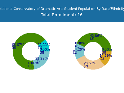 National Conservatory of Dramatic Arts 2025 Student Population by Gender and Race chart
