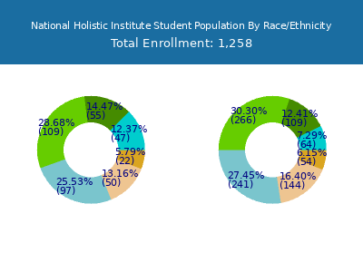 National Holistic Institute 2025 Student Population by Gender and Race chart