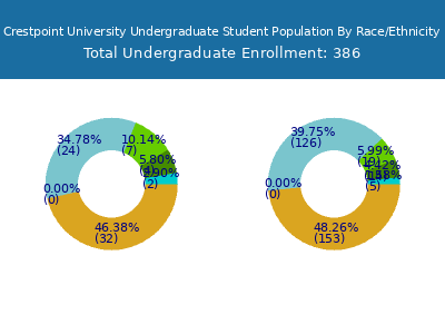 Crestpoint University 2025 Undergraduate Enrollment by Gender and Race chart