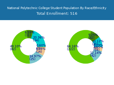 National Polytechnic College 2025 Student Population by Gender and Race chart