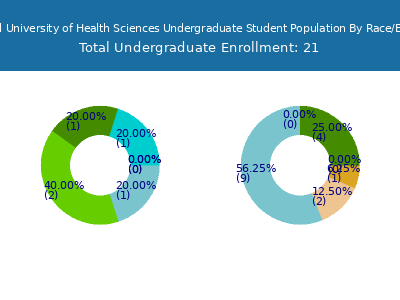 National University of Health Sciences 2025 Undergraduate Enrollment by Gender and Race chart