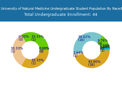 National University of Natural Medicine 2025 Undergraduate Enrollment by Gender and Race chart