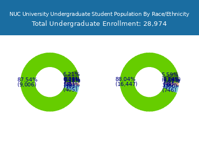 NUC University 2025 Undergraduate Enrollment by Gender and Race chart
