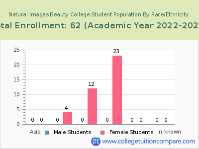 Natural Images Beauty College 2023 Student Population by Gender and Race chart