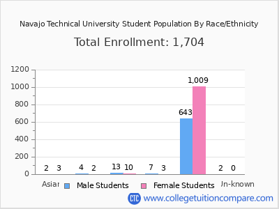 Navajo Technical University 2025 Student Population by Gender and Race chart