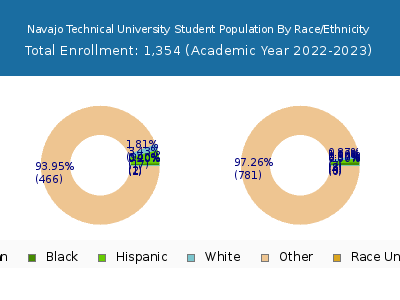 Navajo Technical University 2023 Student Population by Gender and Race chart