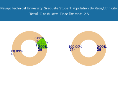Navajo Technical University 2025 Graduate Enrollment by Gender and Race chart