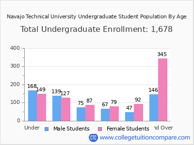 Navajo Technical University 2024 Undergraduate Enrollment by Age chart