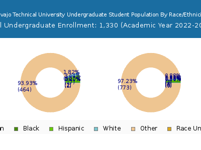 Navajo Technical University 2023 Undergraduate Enrollment by Gender and Race chart