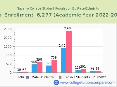 Navarro College 2023 Student Population by Gender and Race chart