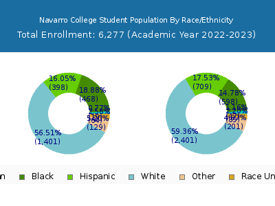 Navarro College 2023 Student Population by Gender and Race chart