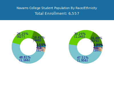 Navarro College 2025 Student Population by Gender and Race chart
