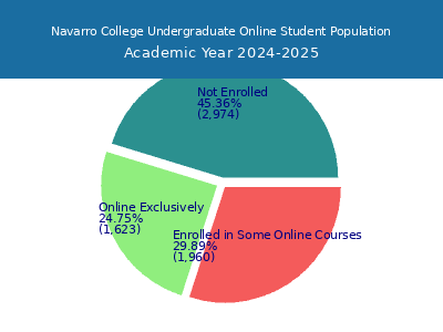 Navarro College 2025 Online Student Population chart