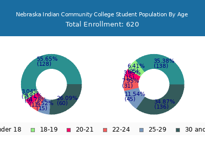 Nebraska Indian Community College 2025 Student Population Age Diversity Pie chart
