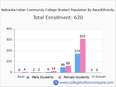 Nebraska Indian Community College 2025 Student Population by Gender and Race chart