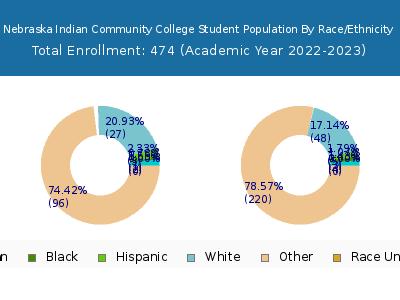 Nebraska Indian Community College 2023 Student Population by Gender and Race chart