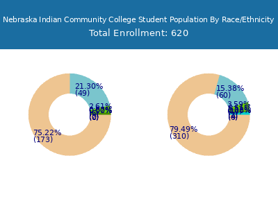 Nebraska Indian Community College 2025 Student Population by Gender and Race chart