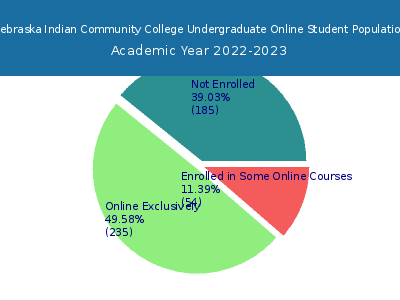 Nebraska Indian Community College 2023 Online Student Population chart