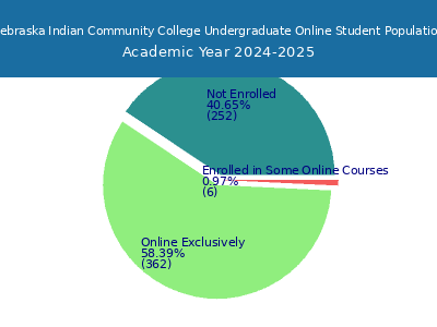 Nebraska Indian Community College 2025 Online Student Population chart