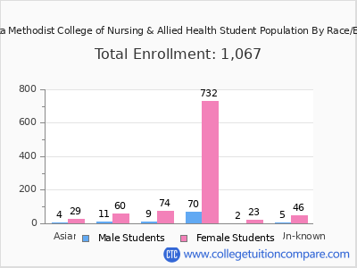 Nebraska Methodist College of Nursing & Allied Health 2025 Student Population by Gender and Race chart