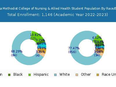 Nebraska Methodist College of Nursing & Allied Health 2023 Student Population by Gender and Race chart