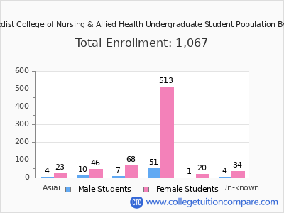 Nebraska Methodist College of Nursing & Allied Health 2025 Undergraduate Enrollment by Gender and Race chart