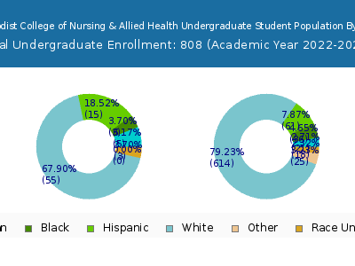 Nebraska Methodist College of Nursing & Allied Health 2023 Undergraduate Enrollment by Gender and Race chart