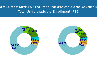 Nebraska Methodist College of Nursing & Allied Health 2025 Undergraduate Enrollment by Gender and Race chart