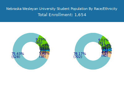 Nebraska Wesleyan University 2025 Student Population by Gender and Race chart