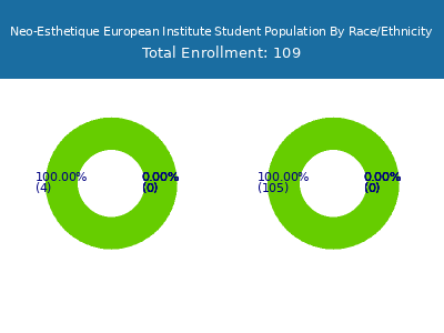 Neo-Esthetique European Institute 2025 Student Population by Gender and Race chart