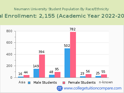 Neumann University 2023 Student Population by Gender and Race chart