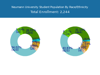 Neumann University 2025 Student Population by Gender and Race chart