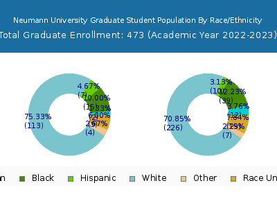 Neumann University 2023 Graduate Enrollment by Gender and Race chart