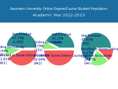 Neumann University 2023 Online Student Population chart