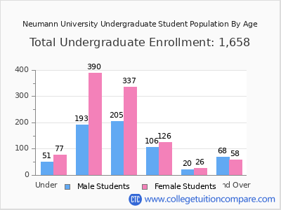 Neumann University 2025 Undergraduate Enrollment by Age chart