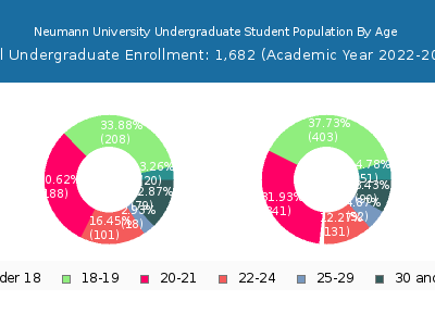 Neumann University 2023 Undergraduate Enrollment Age Diversity Pie chart