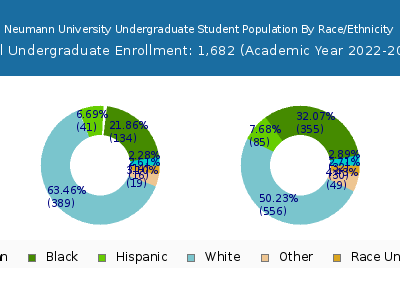 Neumann University 2023 Undergraduate Enrollment by Gender and Race chart