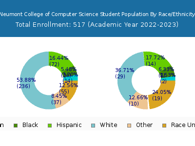 Neumont College of Computer Science 2023 Student Population by Gender and Race chart